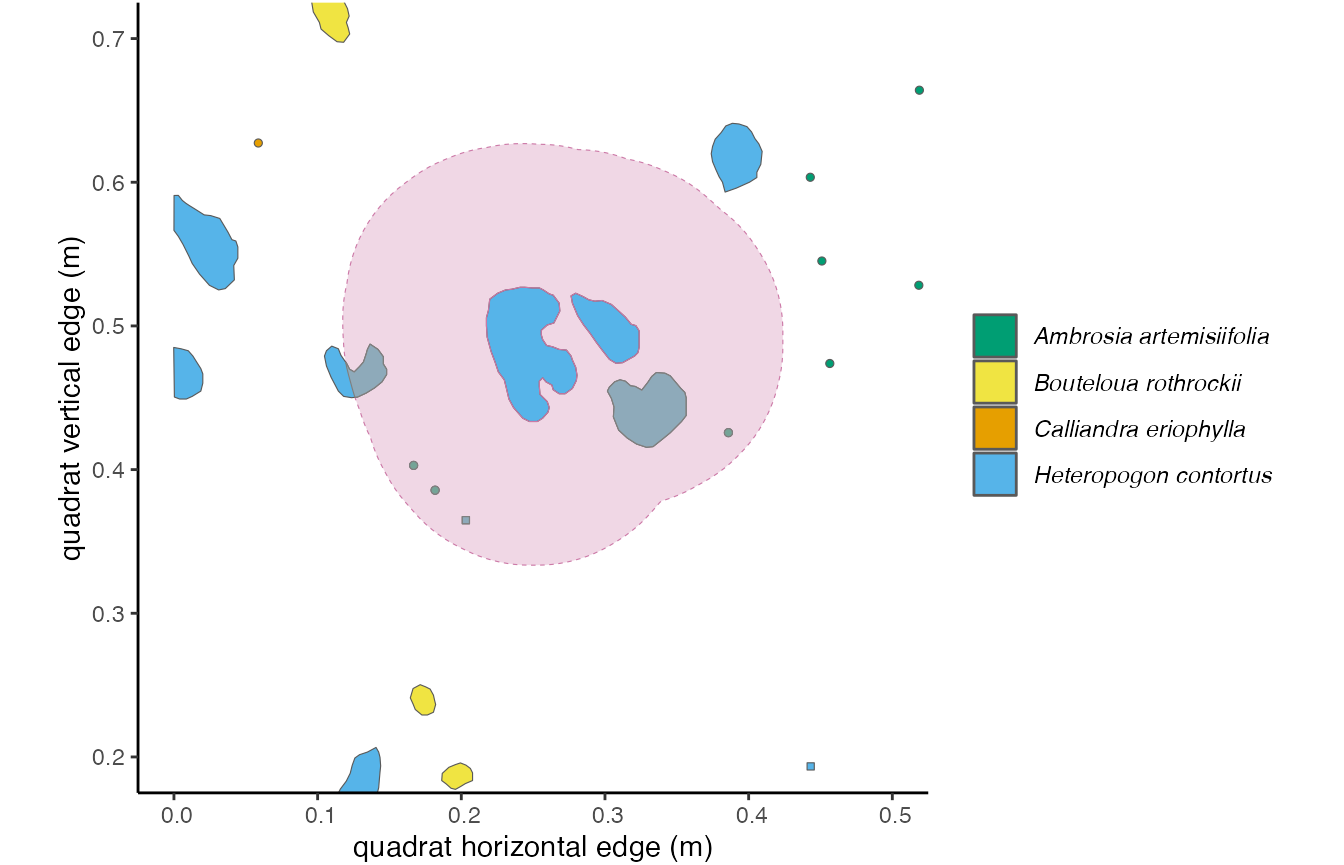 **Figure 3.3**: *The 10cm buffer around the focal individual overlaps with 5 other unique individuals of two species. The overlapping area is shaded in grey. Using the 'area' method in `getNeighbors()`, we would get an intraspecific competition metric of 0.0454, and an interspecific competition metric of 0.0462.*