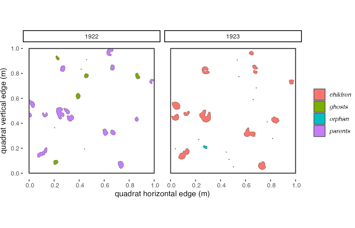 **Figure 3.8**: *Here is a visualization of how the observations are broken into 'parents', 'ghosts', 'children', and 'orphans'.*
