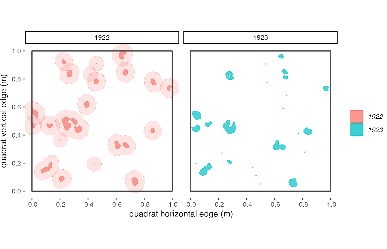 **Figure 3.5**: *Here are the data for *Heteropogon contortus* in 1922 and 1923. A 5 cm buffer is shown around each genet in 1922. Data from both years have been grouped by genet using 'buffGenet' = .01*